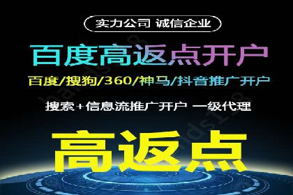 谷歌竞价案例：成功案例分析及启示